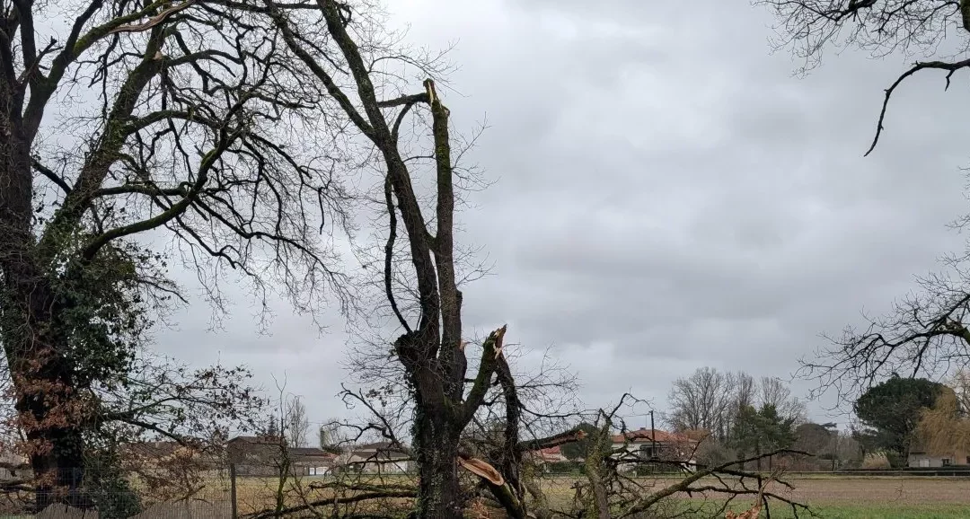 TEMPÊTE NILS : le point sur le réseau et nos engagements pour l’avenir